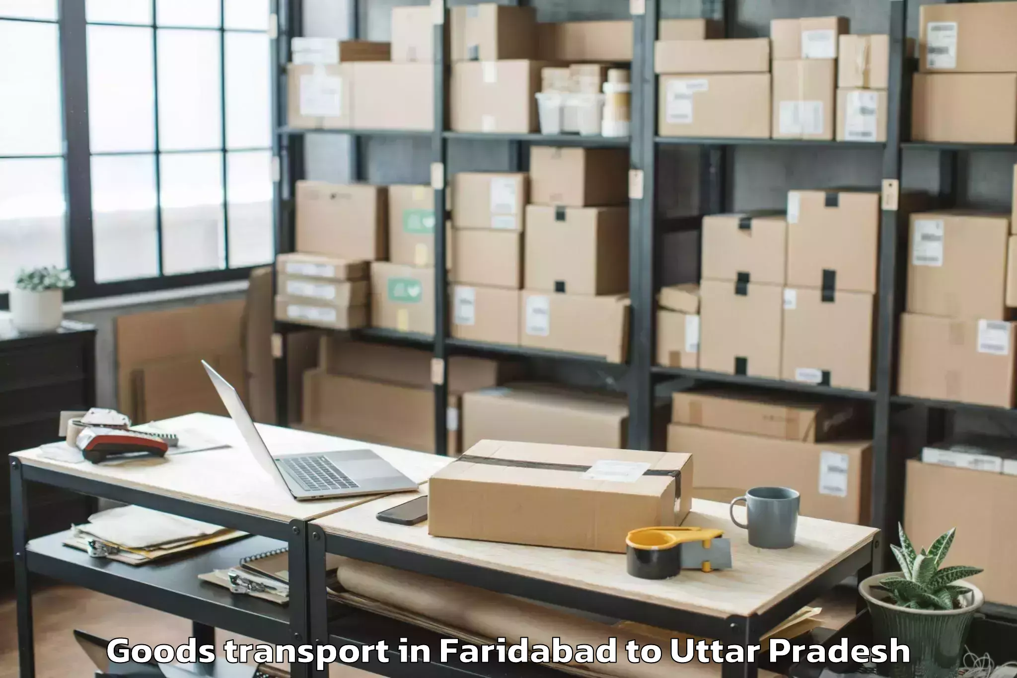 Expert Faridabad to Umaro Mall Lucknow Goods Transport